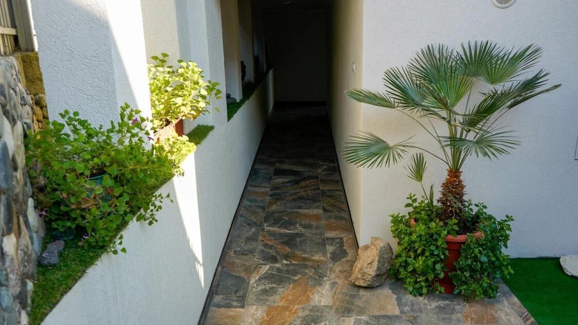 Вита Гагра Gagra Exterior foto